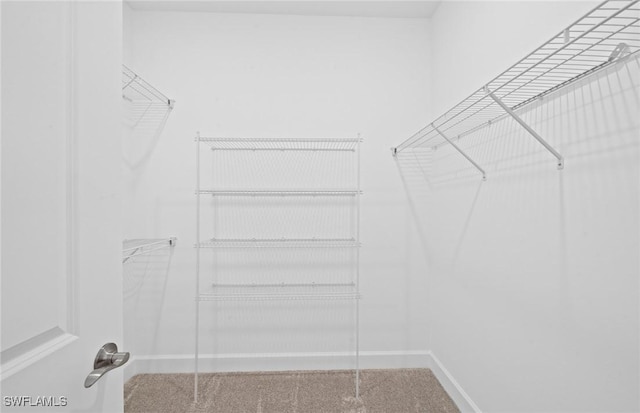 42729 Valley Brooks St, Punta Gorda, FL 33982 - spacious closet featuring carpet