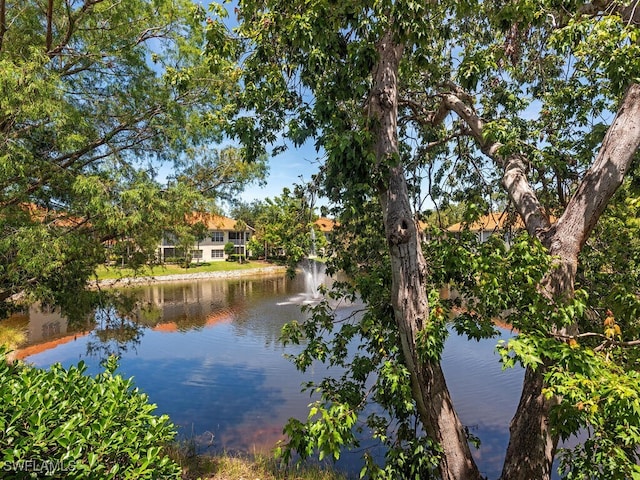 1036 Egrets Walk Cir Unit 202, Naples, FL 34108 - view of water feature