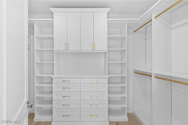 16214 Verilyn Cir, Naples, FL 34110 - spacious closet featuring light wood-style flooring