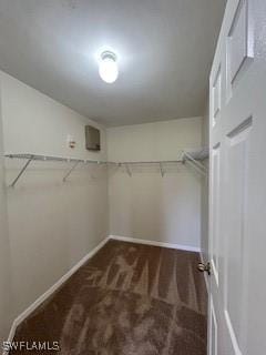18301 Pine Nut Ct, Lehigh Acres, FL 33972 - spacious closet with carpet floors