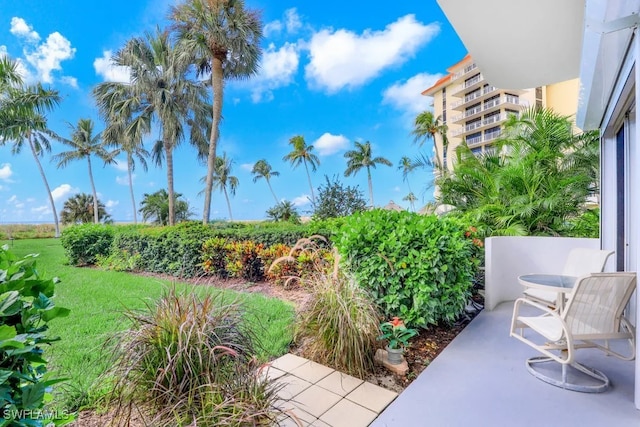 140 Seaview Ct Unit 103N, Marco Island, FL 34145 - exterior space