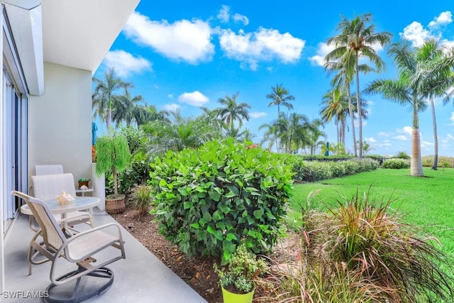 140 Seaview Ct Unit 103N, Marco Island, FL 34145 - exterior space
