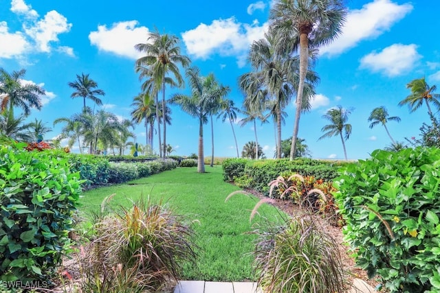 140 Seaview Ct Unit 103N, Marco Island, FL 34145 - view of yard