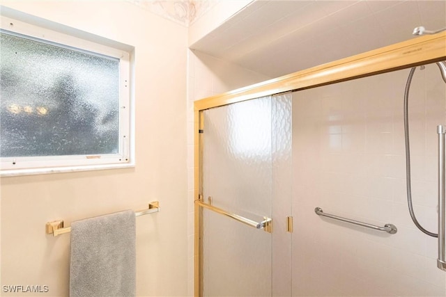 full bathroom featuring a shower stall