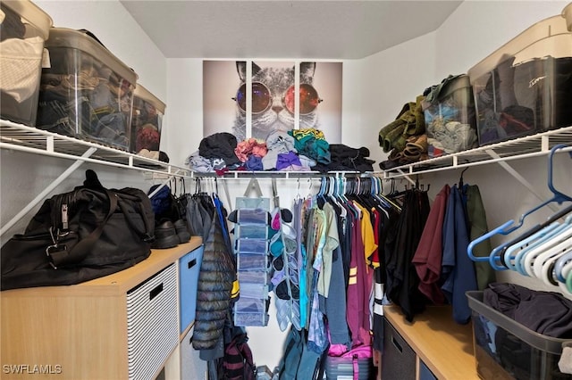 view of walk in closet