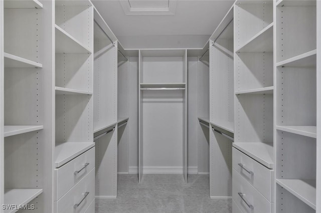 walk in closet with light carpet
