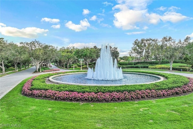 view of home's community featuring a lawn