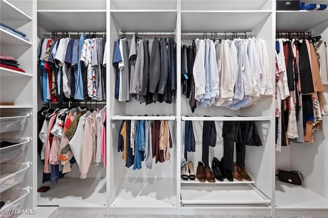 20250 Napa Loop, Estero, FL 33928 - view of walk in closet