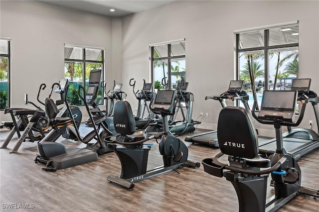 20250 Napa Loop, Estero, FL 33928 - exercise room featuring recessed lighting, plenty of natural light, a towering ceiling, and wood finished floors