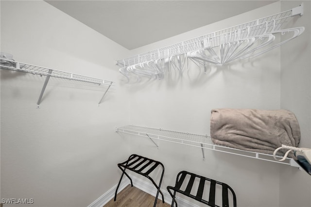 walk in closet featuring wood finished floors
