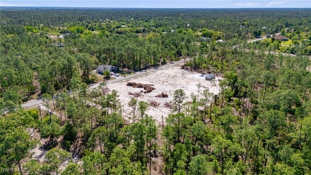 1207 Columbus Ave, Lehigh Acres, FL 33972