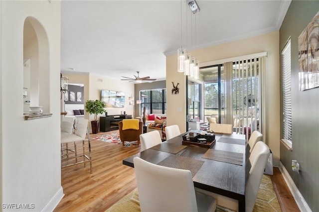 1259 Carpazi Ct Unit 302, Naples, FL 34105 - dining area with baseboards, wood finished floors, a ceiling fan, and ornamental molding