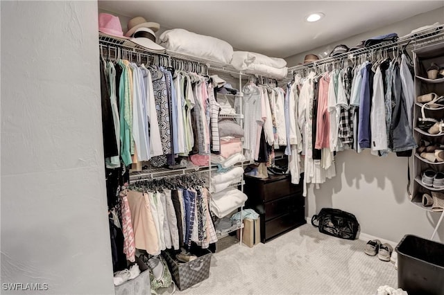 spacious closet with carpet floors