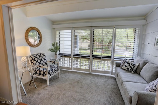 carpeted living area with plenty of natural light