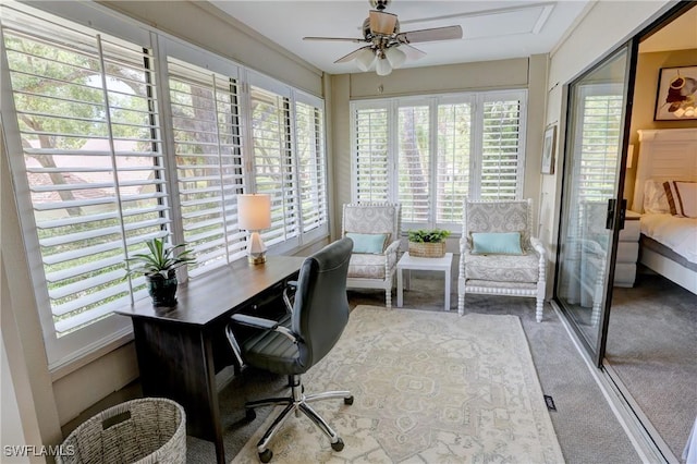 home office with carpet and ceiling fan