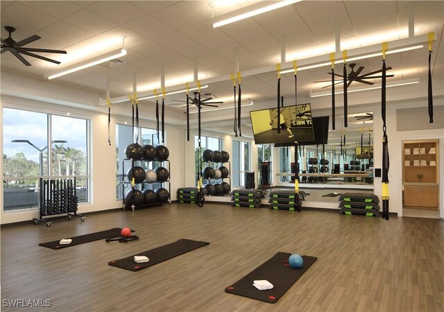 gym with wood finished floors and a ceiling fan