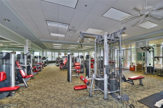 gym featuring ceiling fan and carpet floors