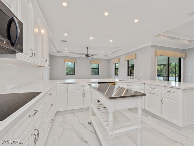 2538 4th Ave NE, Naples, FL 34120 - kitchen featuring black electric stovetop, a raised ceiling, recessed lighting, a peninsula, and marble finish floor