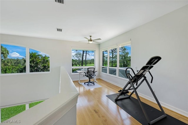 25011 Goldcrest Dr, Bonita Springs, FL 34134 - exercise room featuring light wood-style flooring, visible vents, a ceiling fan, and baseboards