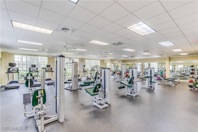 workout area with visible vents, ceiling fan, plenty of natural light, and a drop ceiling