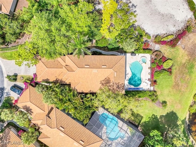 bird's eye view