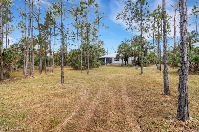 4220 12th Ave SE, Naples, FL 34117 - view of yard
