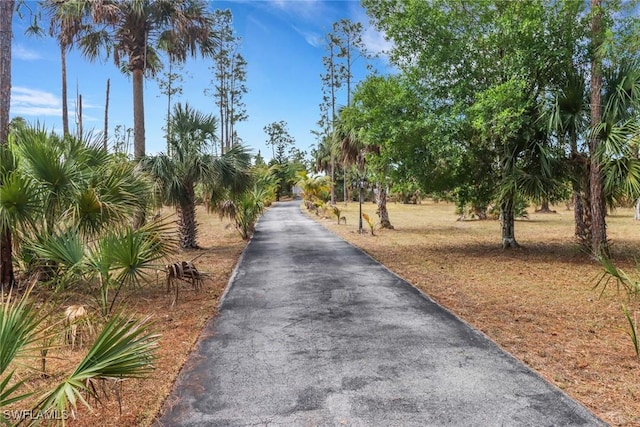 4220 12th Ave SE, Naples, FL 34117 - view of community