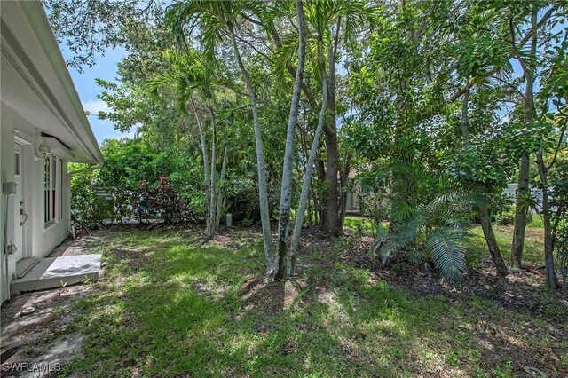 5 Rivard Rd Unit 22, Naples, FL 34112 - view of yard