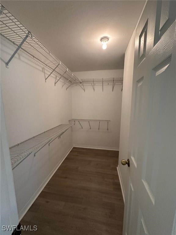 walk in closet featuring wood finished floors