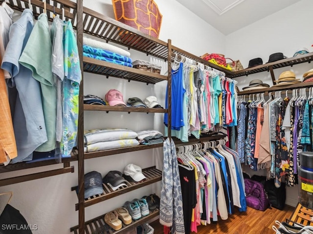 walk in closet featuring wood finished floors