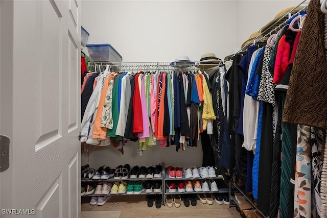 20005 Parrot Key Ct, Estero, FL 33928 - view of spacious closet