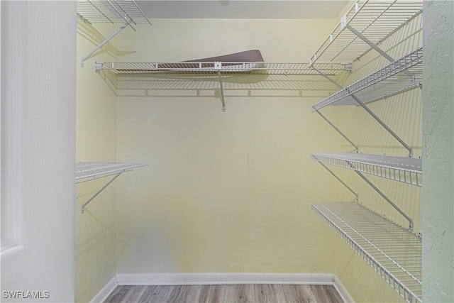 walk in closet with wood finished floors