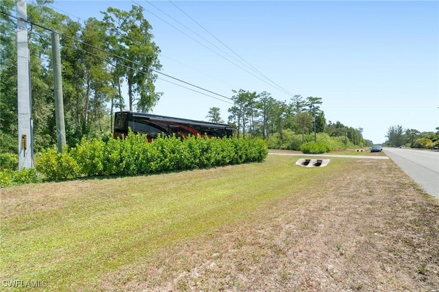 10191 Strike Ln, Bonita Springs, FL 34135 - view of yard