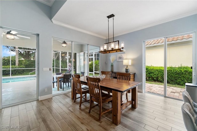 2733 Island Pond Ln, Naples, FL 34119 - dining space with ceiling fan, light wood-type flooring, ornamental molding, and plenty of natural light