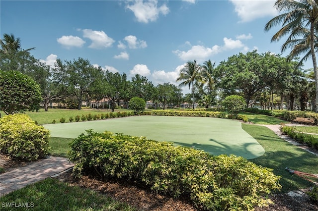 2733 Island Pond Ln, Naples, FL 34119 - view of community featuring a putting area