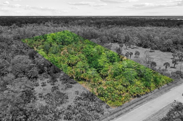 000 37th Ave NE, Naples, FL 34120