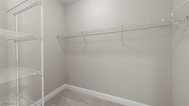 17825 Summerland Key Ct, Fort Myers, FL 33908 - walk in closet featuring carpet floors