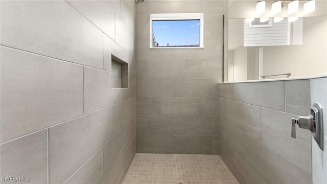 17825 Summerland Key Ct, Fort Myers, FL 33908 - full bathroom with tiled shower