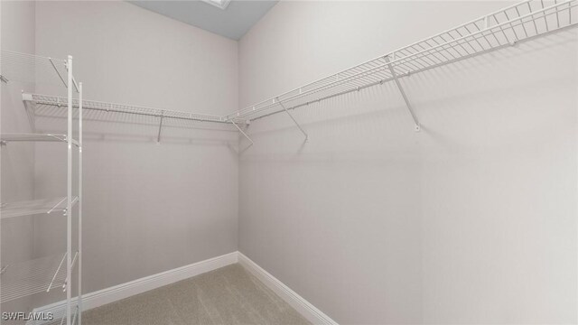 17825 Summerland Key Ct, Fort Myers, FL 33908 - spacious closet featuring carpet floors