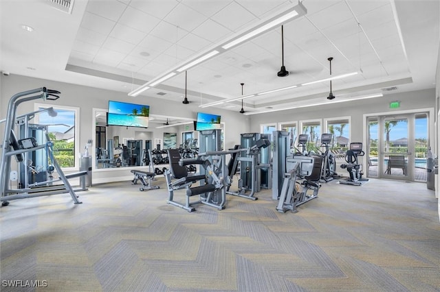 17152 Ashford Ter, Fort Myers, FL 33967 - workout area with a tray ceiling and carpet