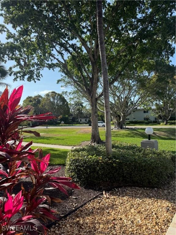 530 Broad Ave S Unit 530, Naples, FL 34102 - view of yard