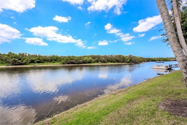 8442 Mallards Way, Naples, FL 34114 - property view of water