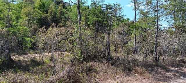 Vista Ridge Dr, Fort Myers, FL 33913