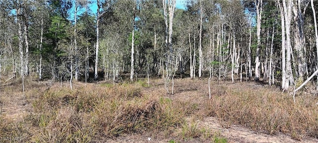 Vista Ridge Dr, Fort Myers, FL 33913