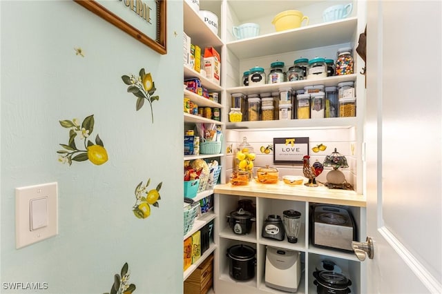 3129 Preserves Edge Ct, Fort Myers, FL 33905 - view of pantry