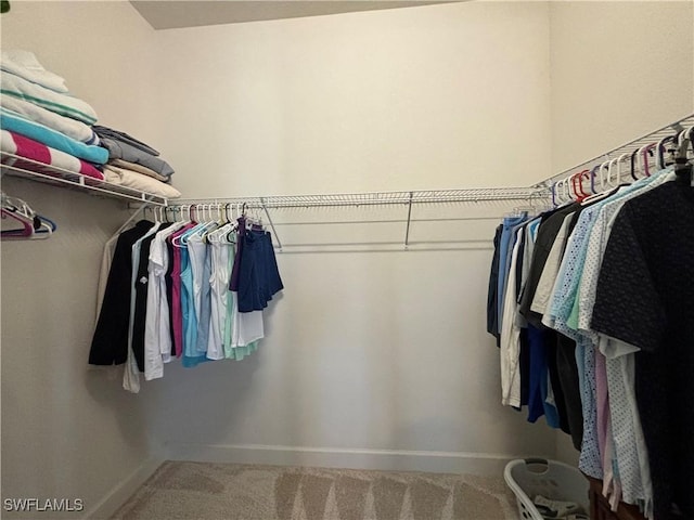 spacious closet with carpet floors