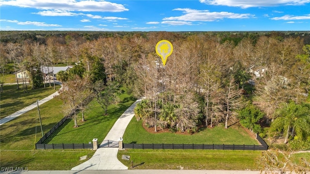 5271 Cherry Wood Dr, Naples, FL 34119 - bird's eye view of a forest