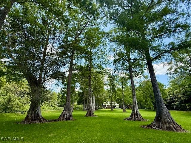 view of property's community with a lawn