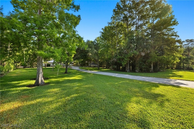 view of property's community with a yard