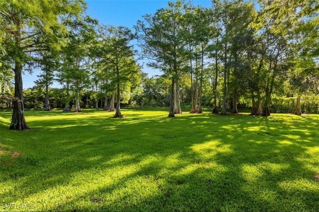 5271 Cherry Wood Dr, Naples, FL 34119 - view of green lawn